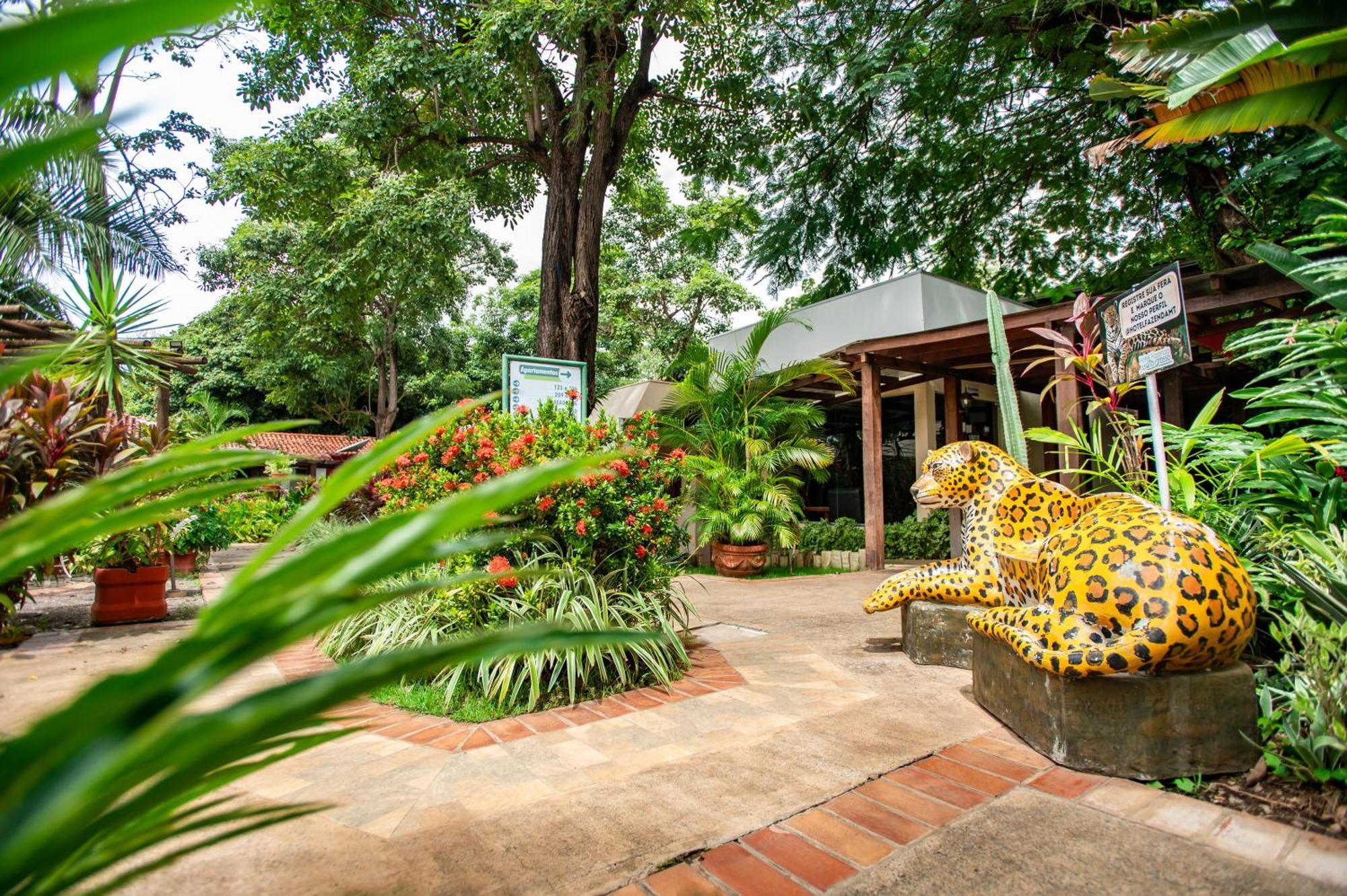 Hotel Fazenda Mato Grosso 쿠이아바 외부 사진